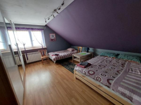Apartament u Ali